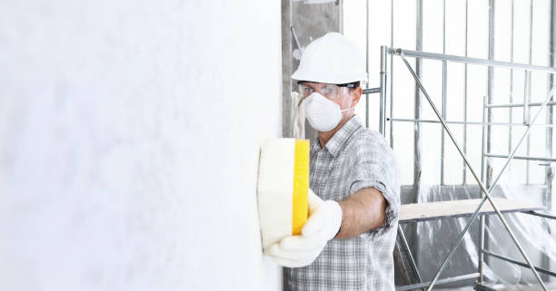 Best Mold Removal for HVAC Installations  in Prieville, NC