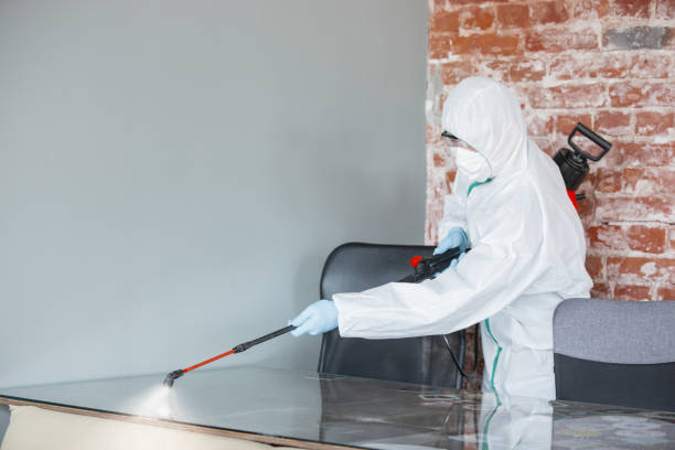 Best Forensic Mold Investigation  in Prieville, NC